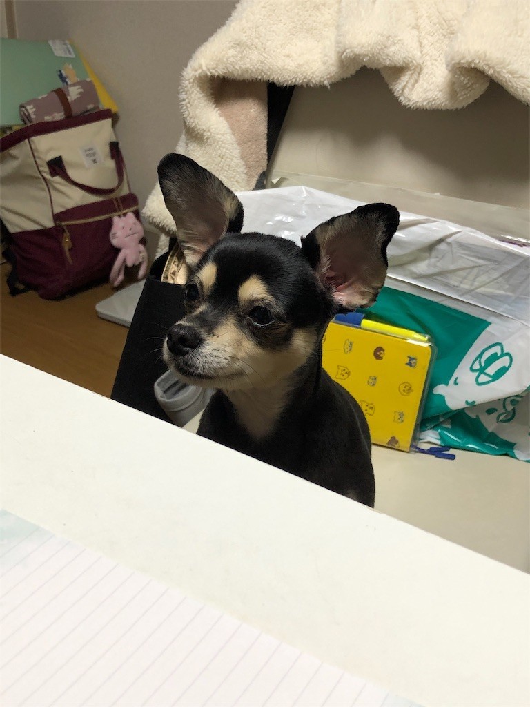 f:id:akie1000:20190110233541j:image