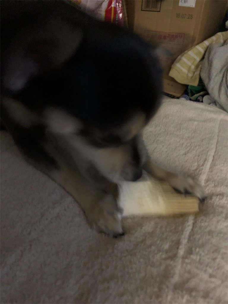 f:id:akie1000:20190121210623j:image
