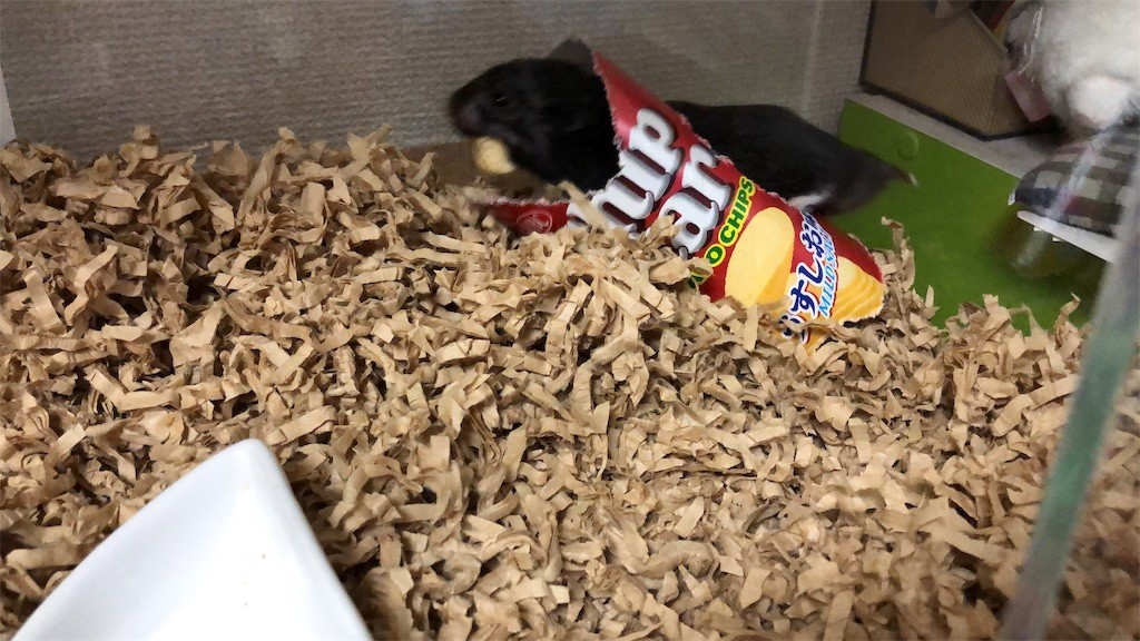 f:id:akie1000:20190121230315j:image