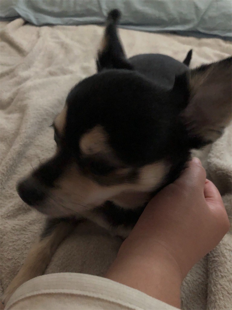 f:id:akie1000:20190131011052j:image