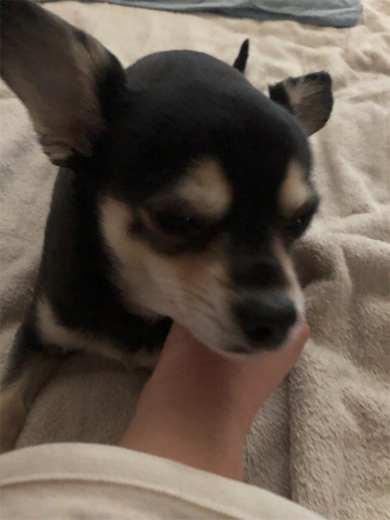 f:id:akie1000:20190131011057j:image