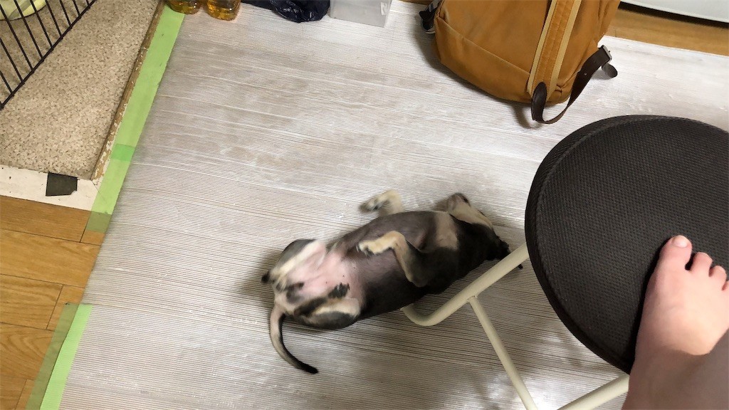 f:id:akie1000:20190321231704j:image