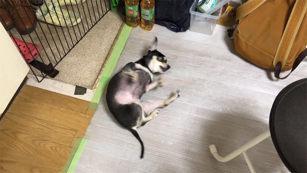 f:id:akie1000:20190321231709j:image