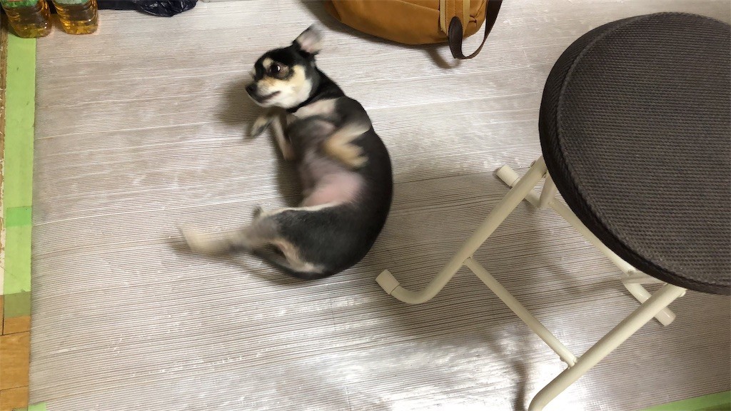 f:id:akie1000:20190321231712j:image