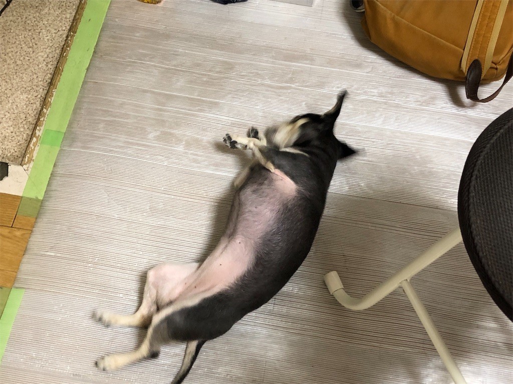 f:id:akie1000:20190321231729j:image