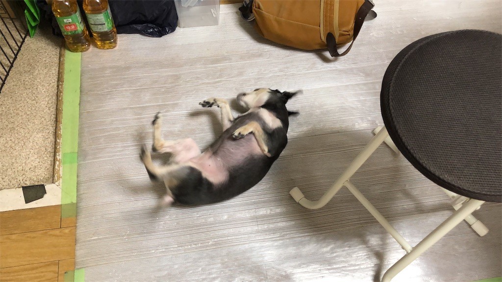 f:id:akie1000:20190321231742j:image