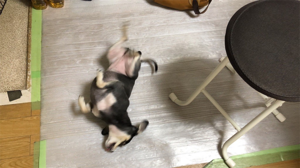 f:id:akie1000:20190321231827j:image