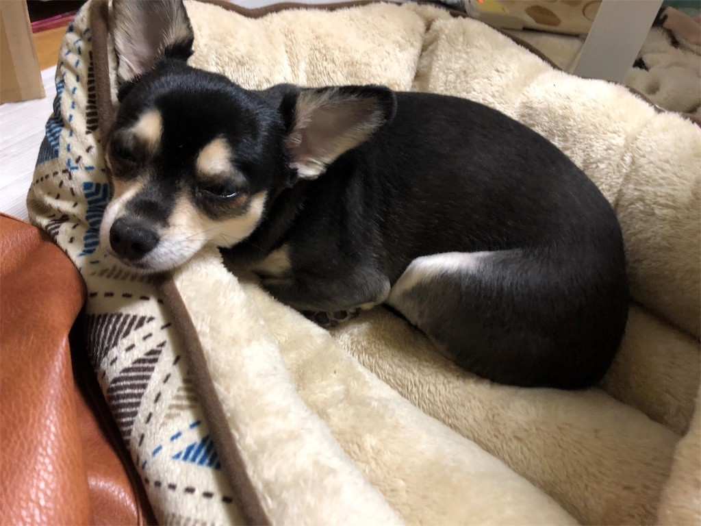 f:id:akie1000:20190331225850j:image