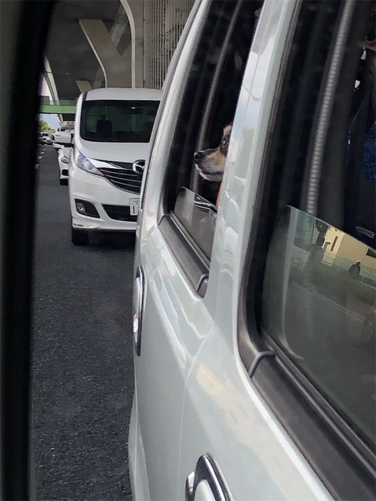 f:id:akie1000:20190503234809j:image f:id:akie1000:20190503234809j:image