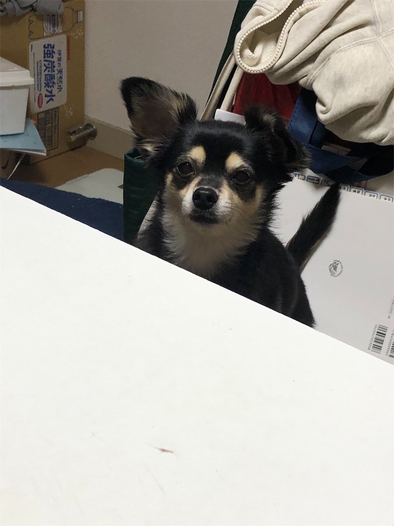f:id:akie1000:20190509222128j:image