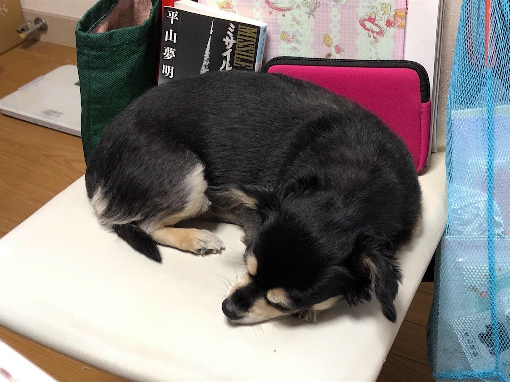 f:id:akie1000:20190509222833j:image