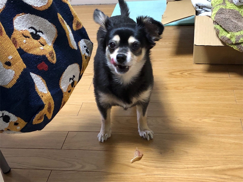 f:id:akie1000:20190510153148j:image