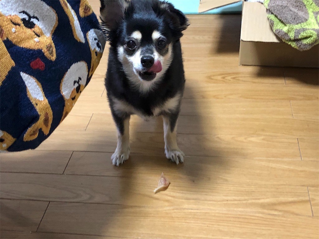 f:id:akie1000:20190510153201j:image