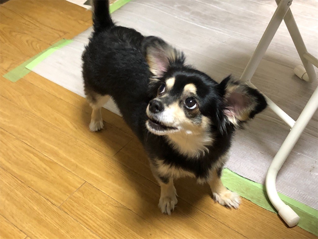 f:id:akie1000:20190522155250j:image