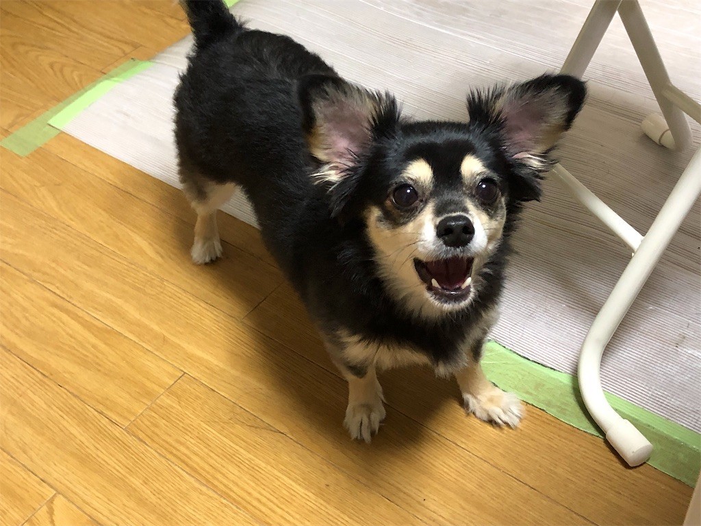 f:id:akie1000:20190522155300j:image