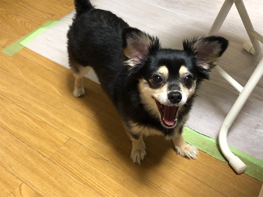 f:id:akie1000:20190522155308j:image