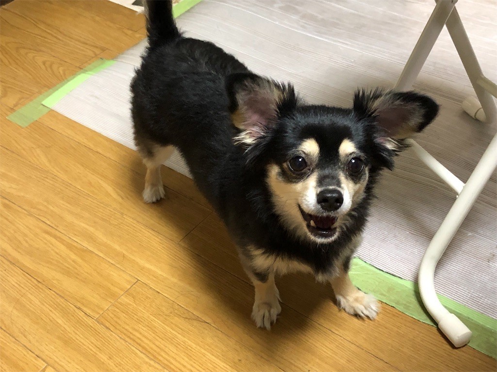 f:id:akie1000:20190522155312j:image