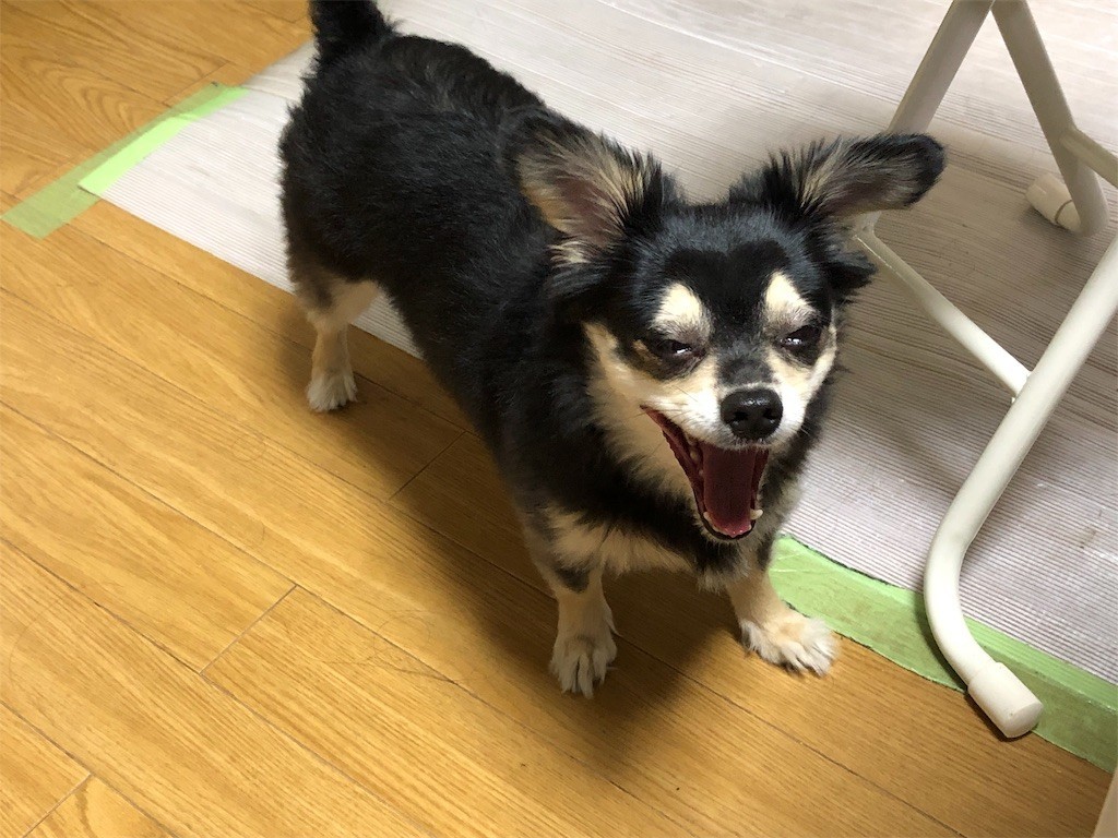 f:id:akie1000:20190522155316j:image