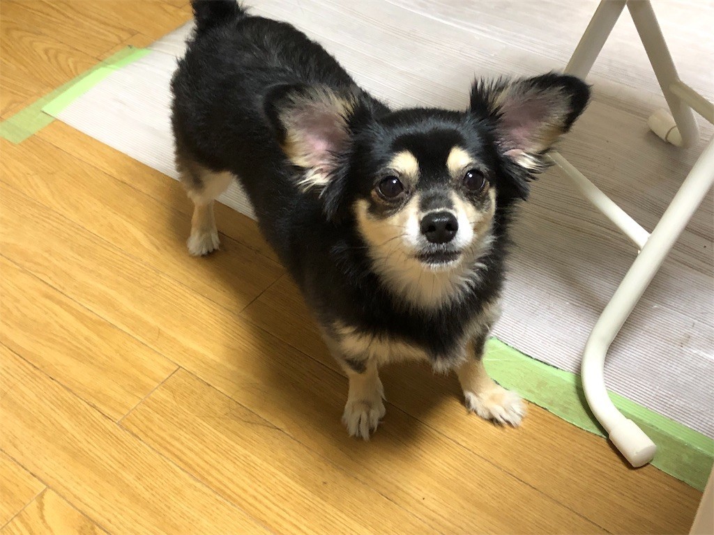 f:id:akie1000:20190522155327j:image