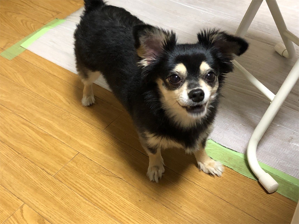f:id:akie1000:20190522155332j:image