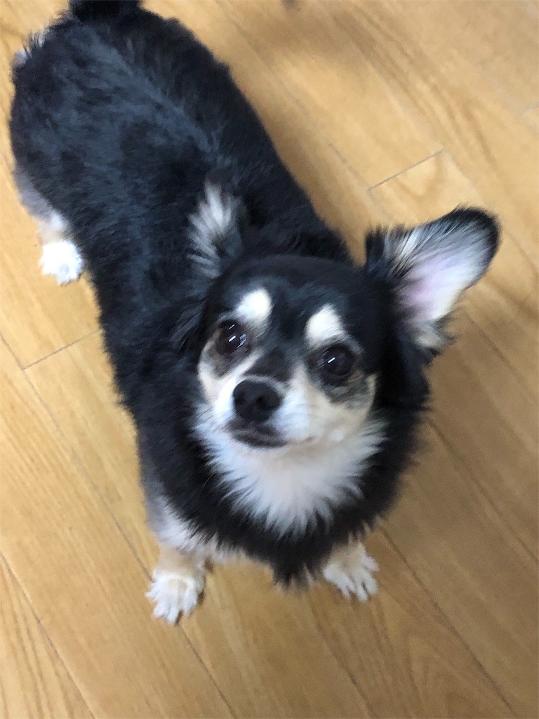 f:id:akie1000:20190526120130j:image