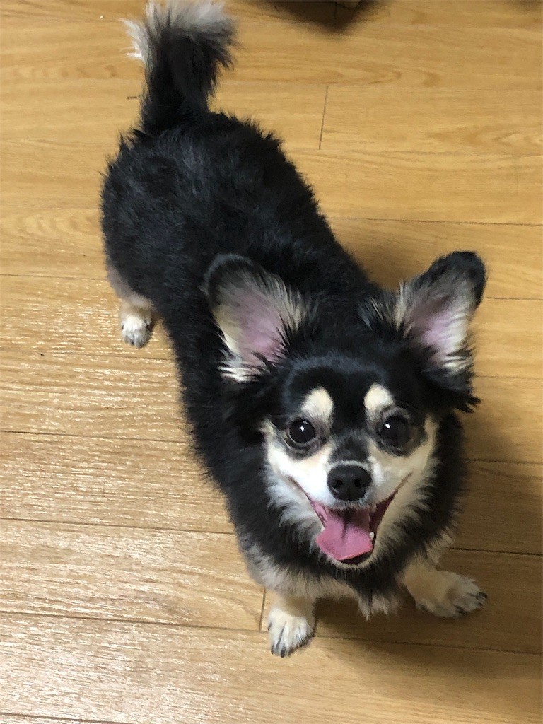 f:id:akie1000:20190530111545j:image