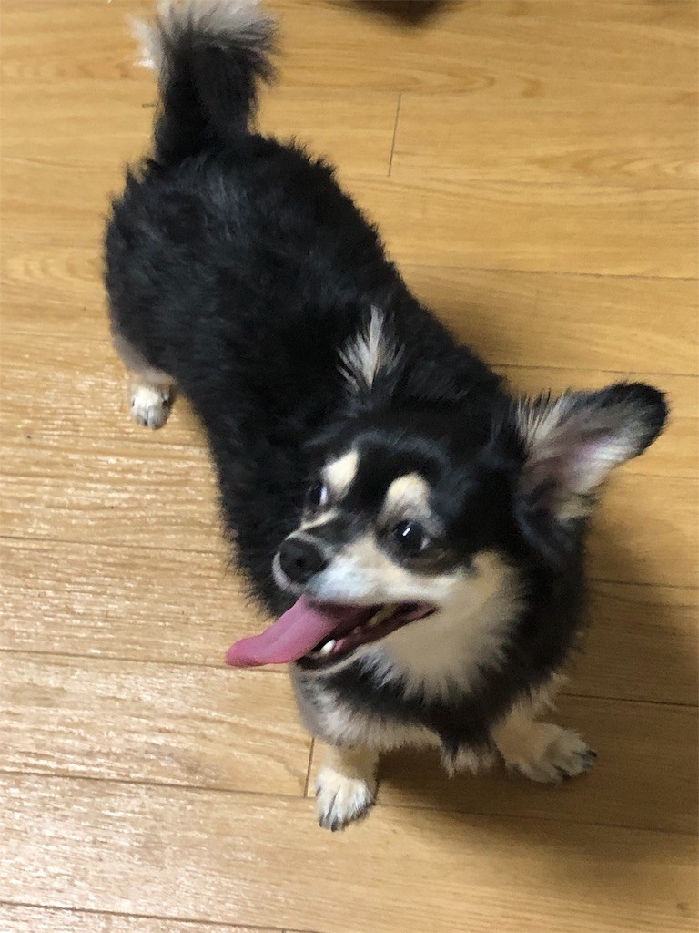 f:id:akie1000:20190530111554j:image