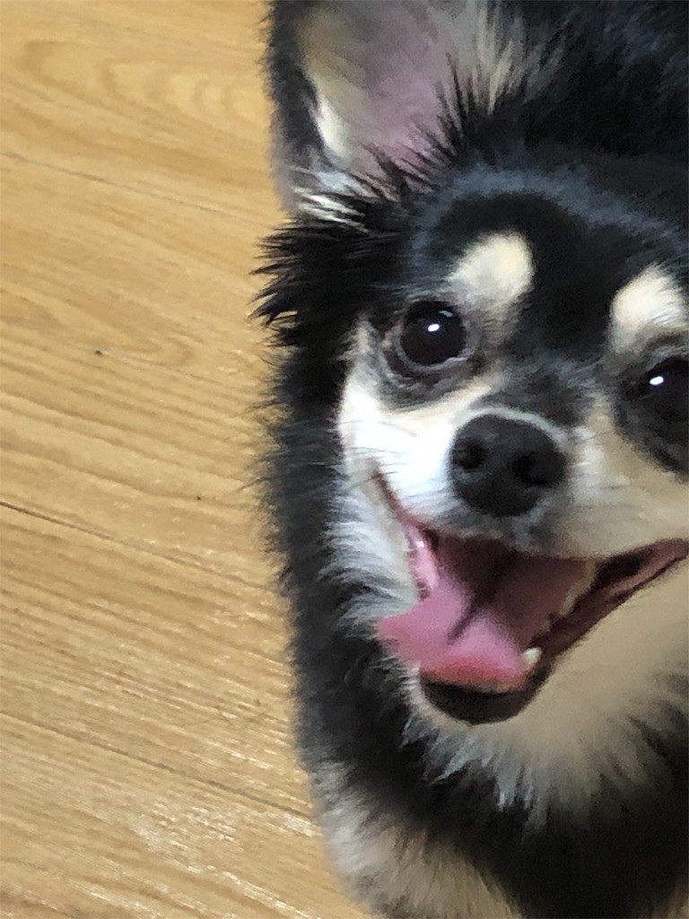 f:id:akie1000:20190530111557j:image
