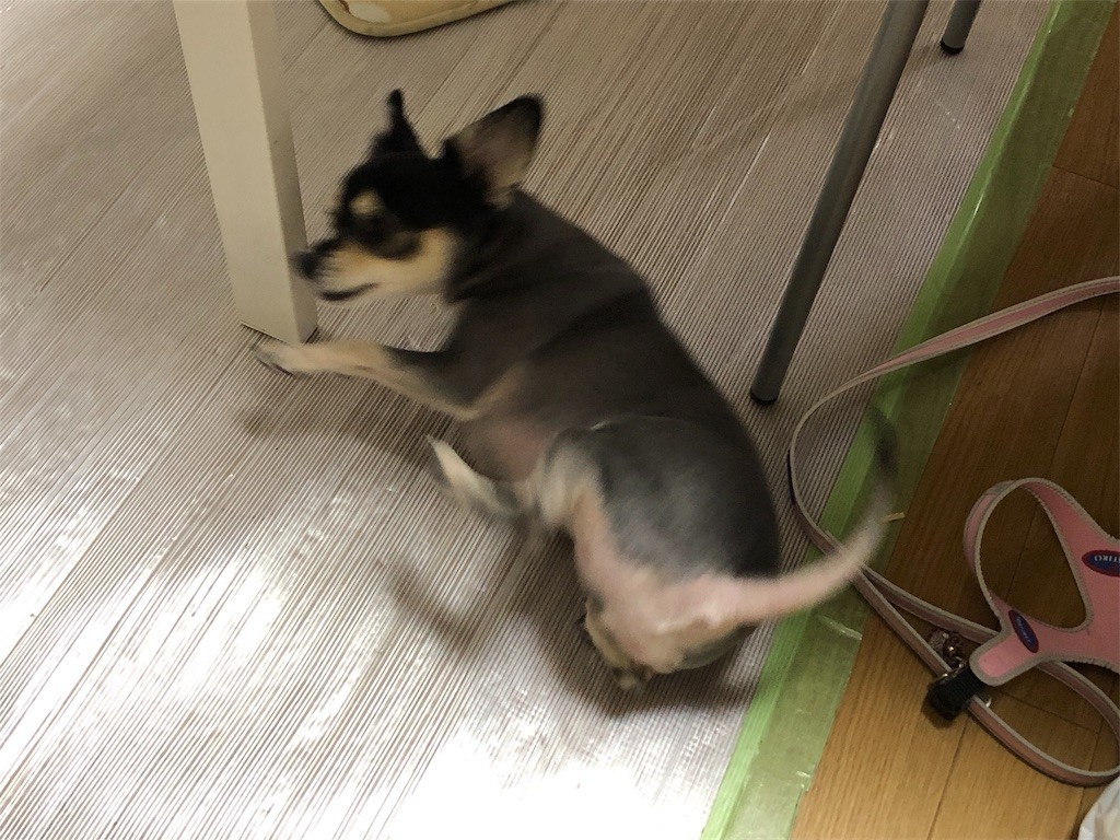 f:id:akie1000:20190603171036j:image f:id:akie1000:20190603171036j:image