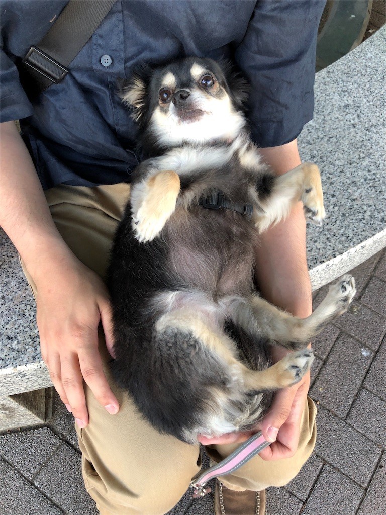 f:id:akie1000:20190605112324j:image