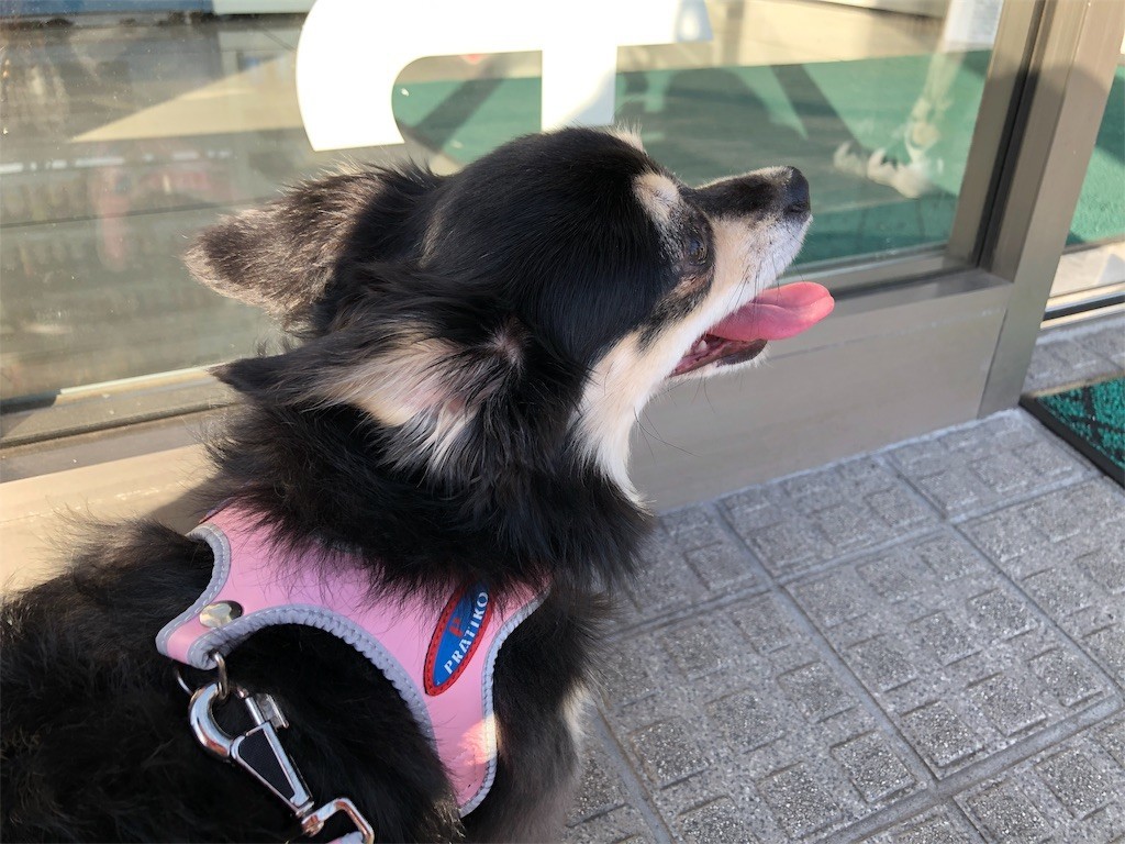 f:id:akie1000:20190605112328j:image