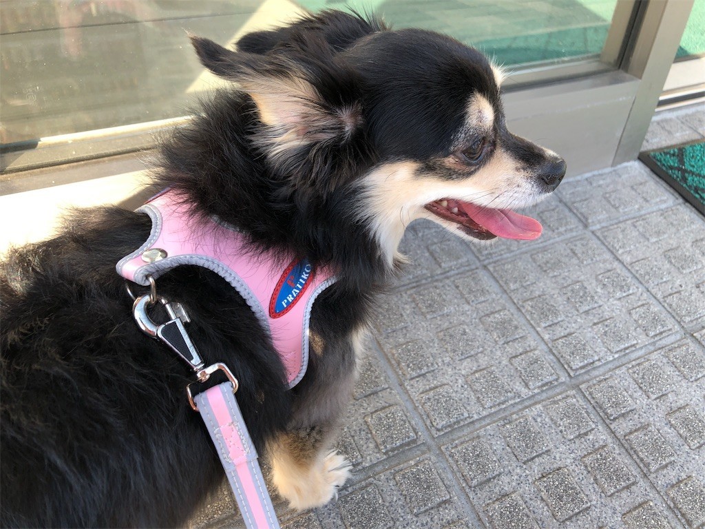 f:id:akie1000:20190605112331j:image