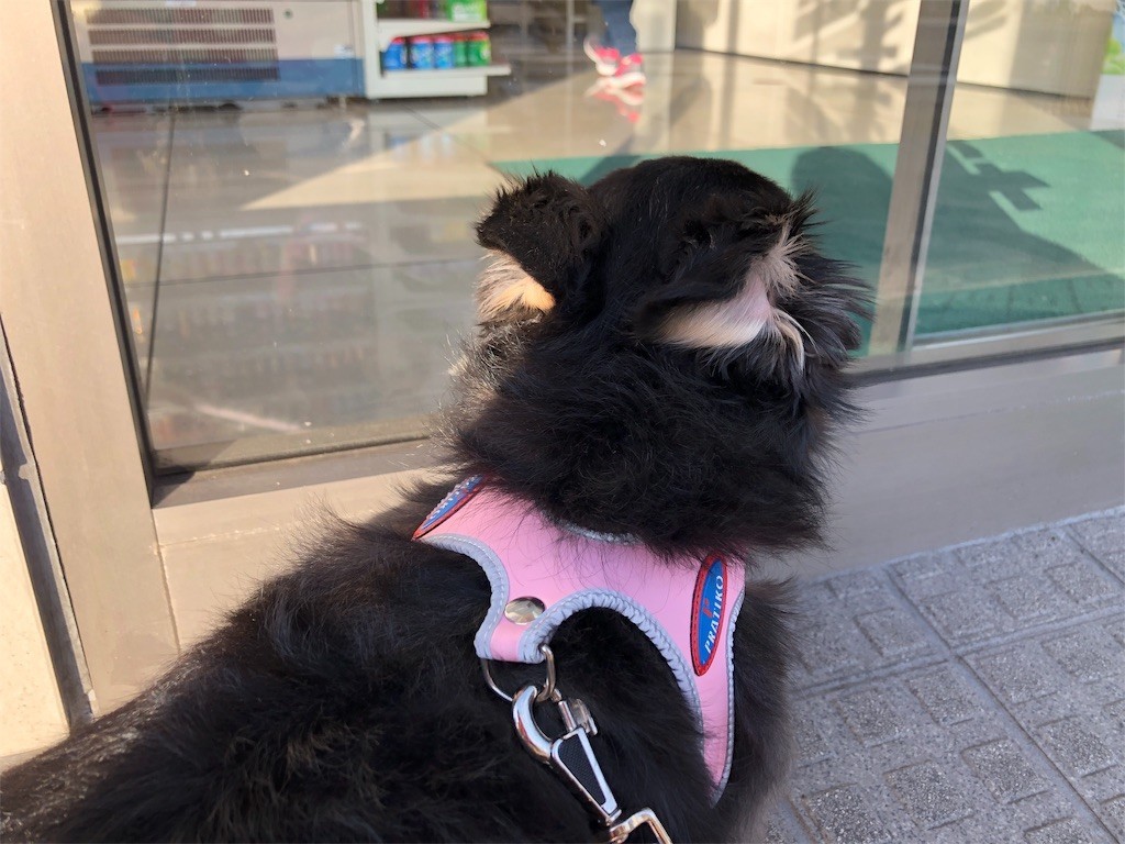 f:id:akie1000:20190605112355j:image
