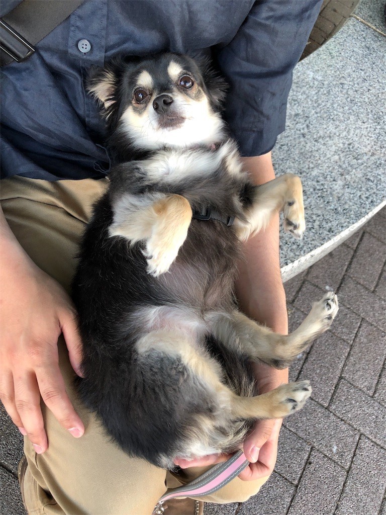 f:id:akie1000:20190605112359j:image
