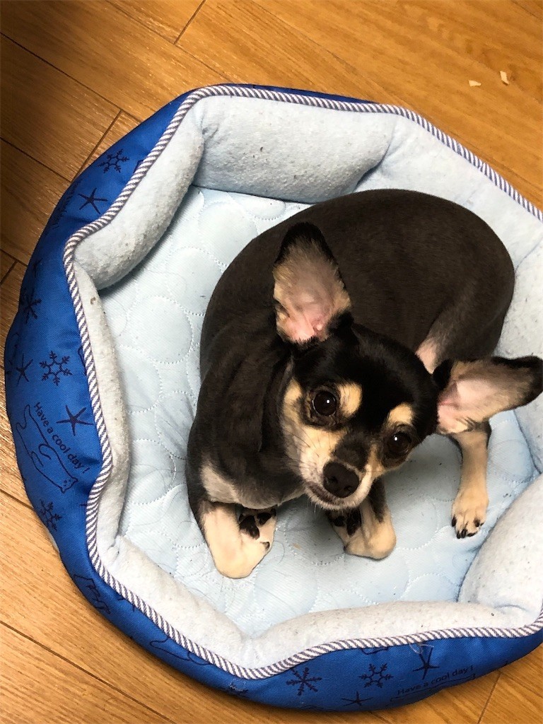 f:id:akie1000:20190717202350j:image