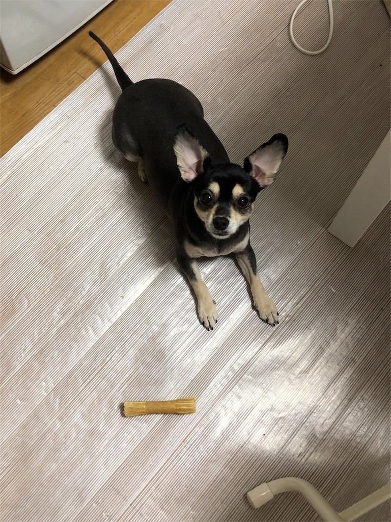 f:id:akie1000:20190717202353j:image