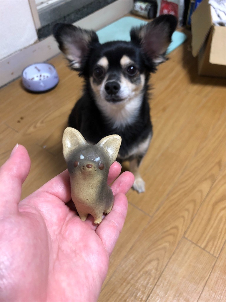 f:id:akie1000:20190905133604j:image