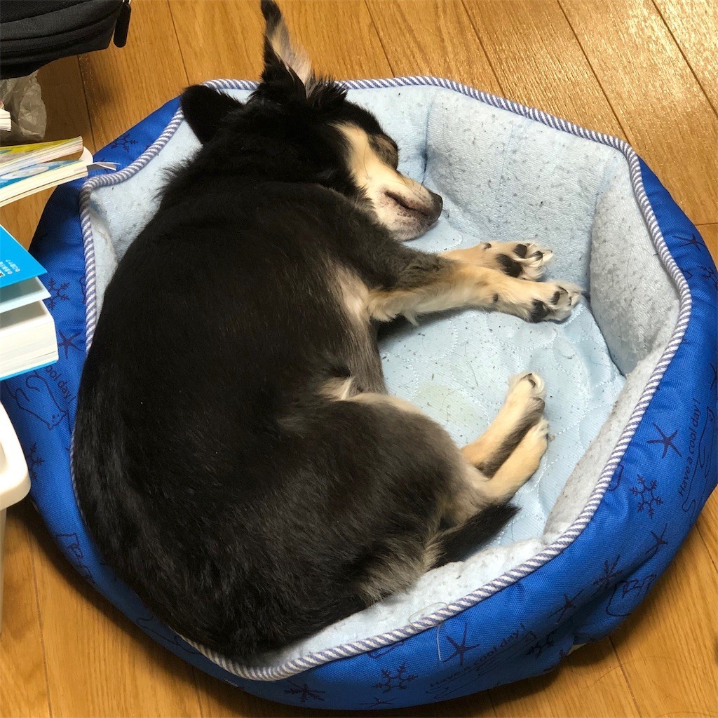 f:id:akie1000:20190905134123j:image