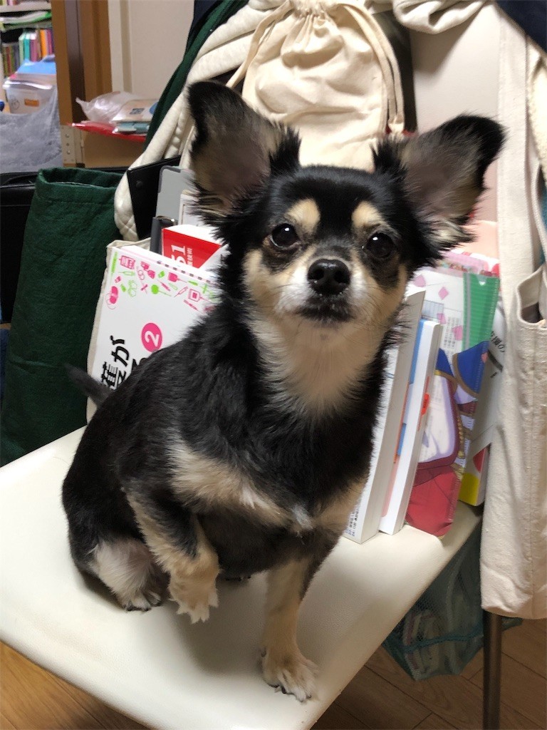 f:id:akie1000:20190905140820j:image