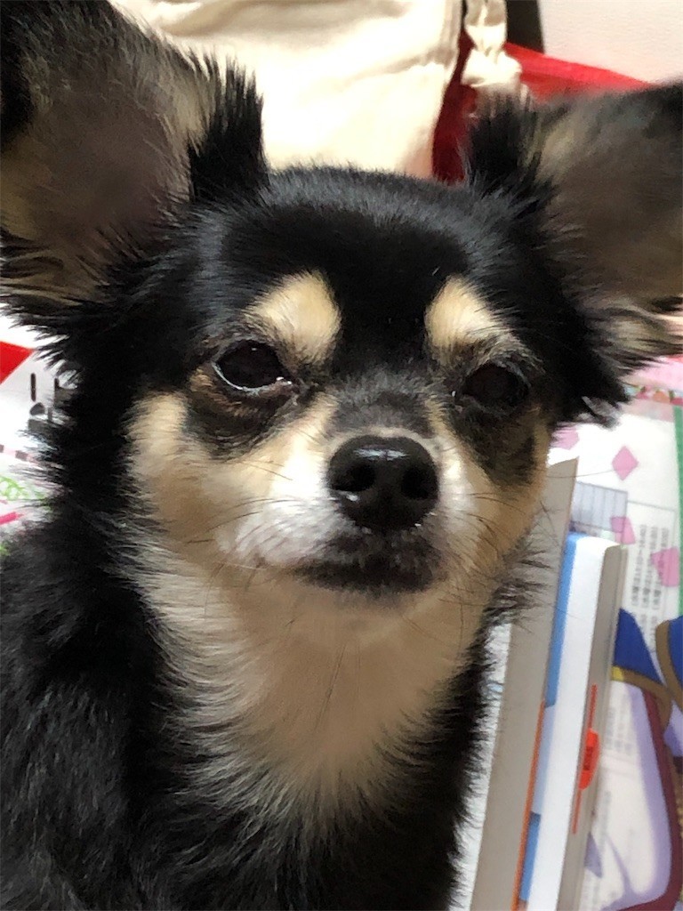 f:id:akie1000:20190905140824j:image