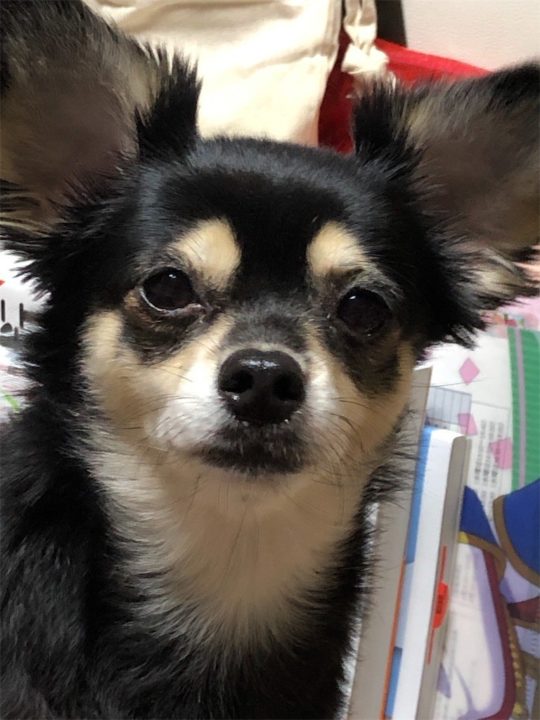 f:id:akie1000:20190905140828j:image