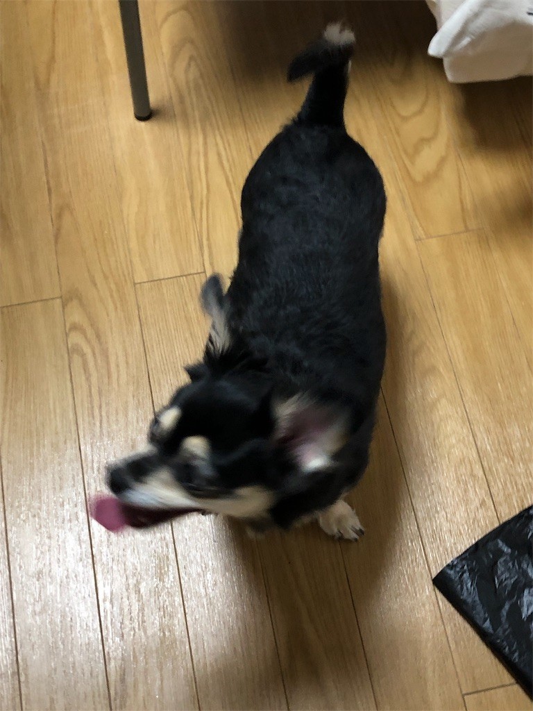 f:id:akie1000:20190913150758j:image