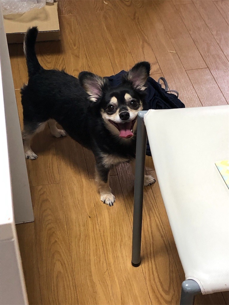 f:id:akie1000:20190913150801j:image