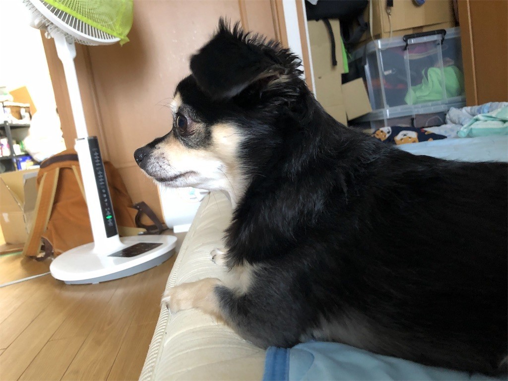f:id:akie1000:20190913151401j:image