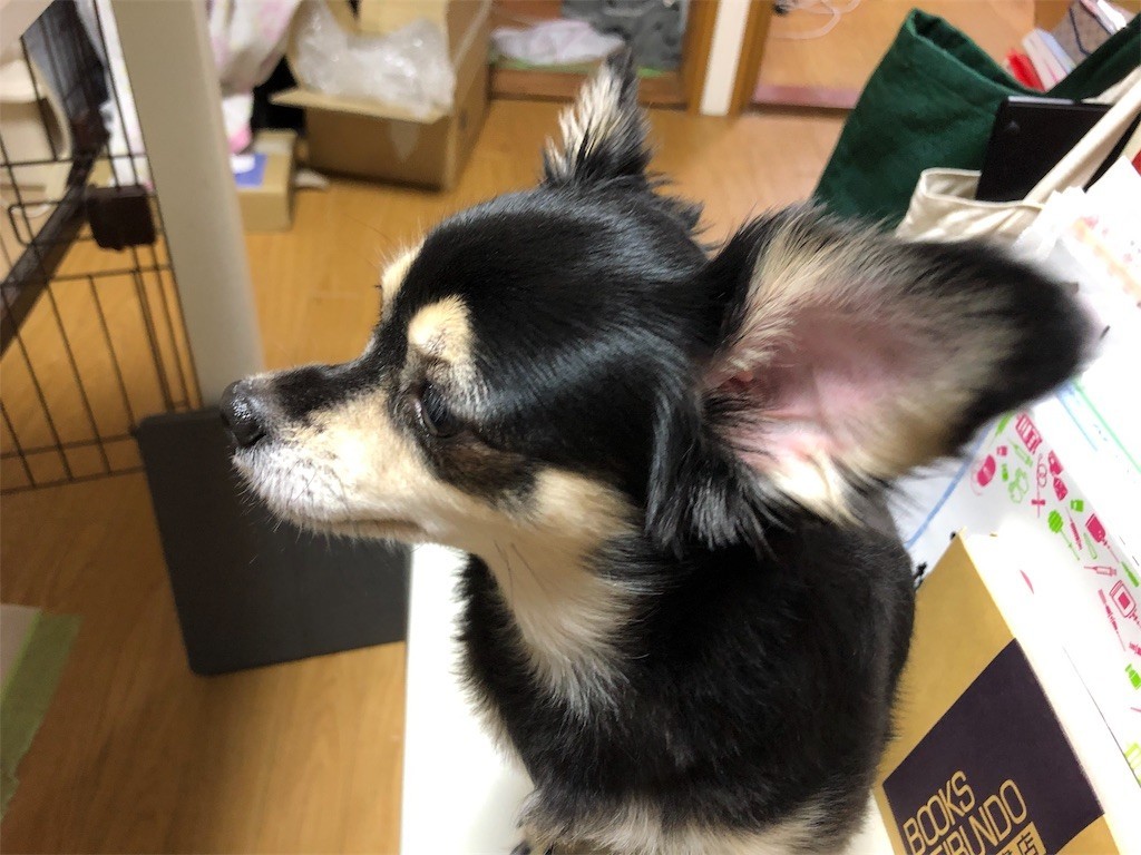 f:id:akie1000:20190913153151j:image