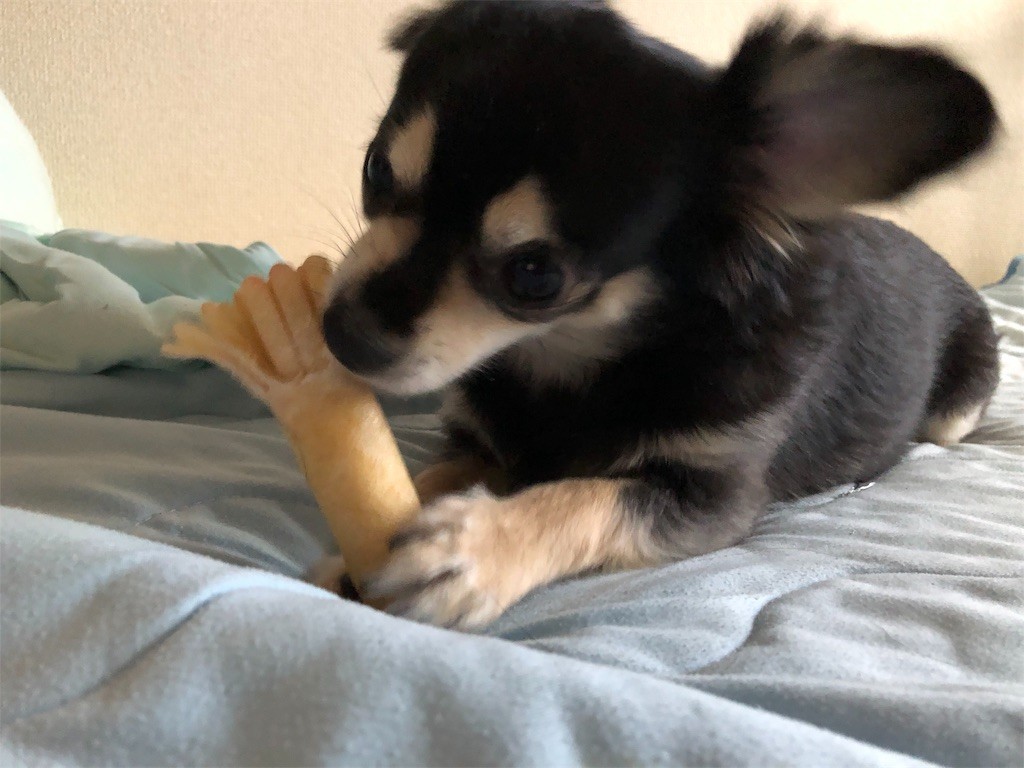 f:id:akie1000:20190914235611j:image