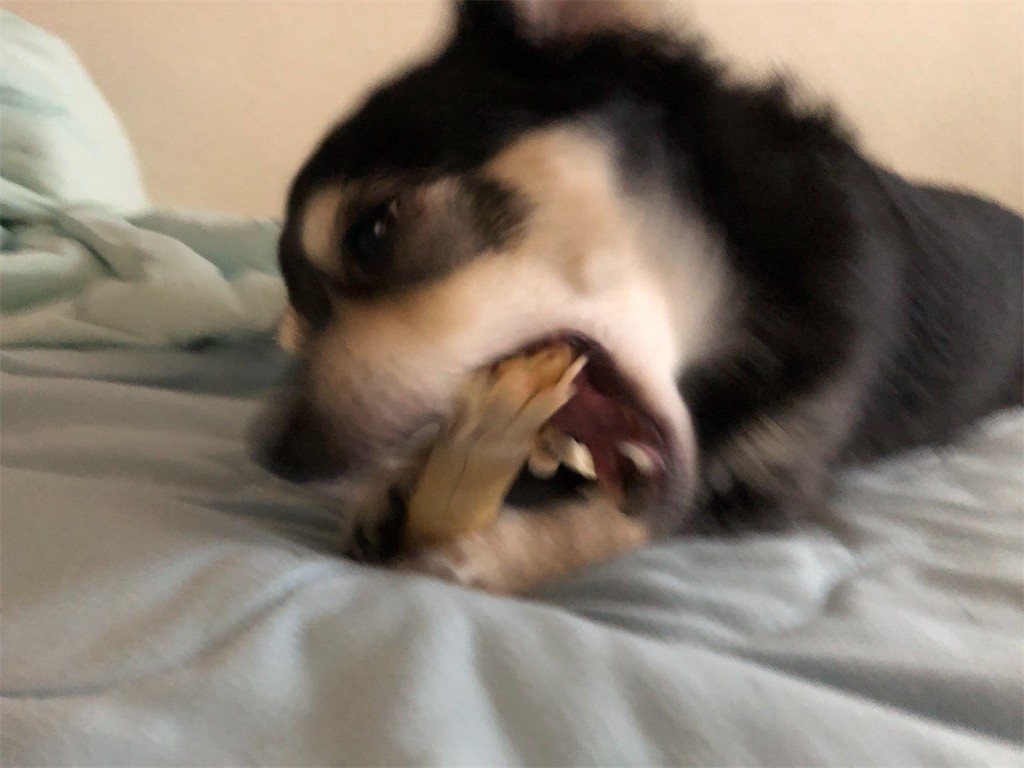 f:id:akie1000:20190914235643j:image