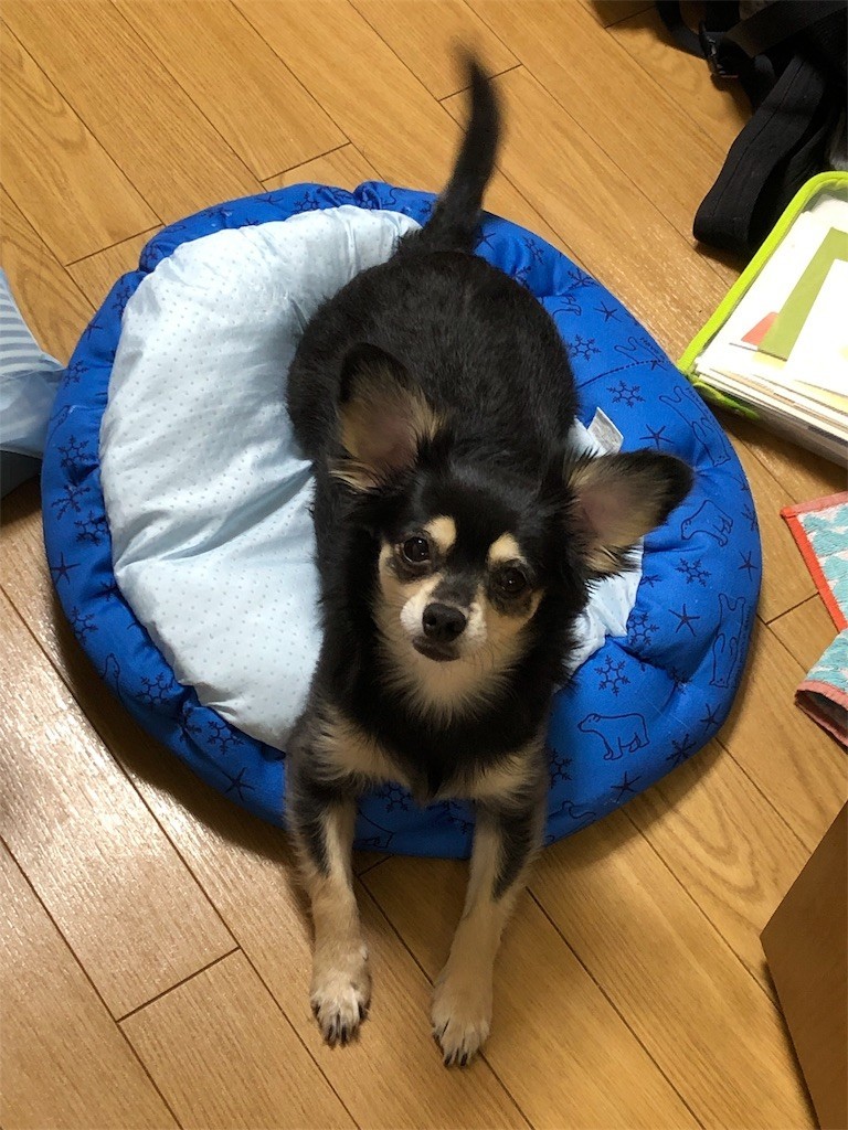 f:id:akie1000:20190915000732j:image