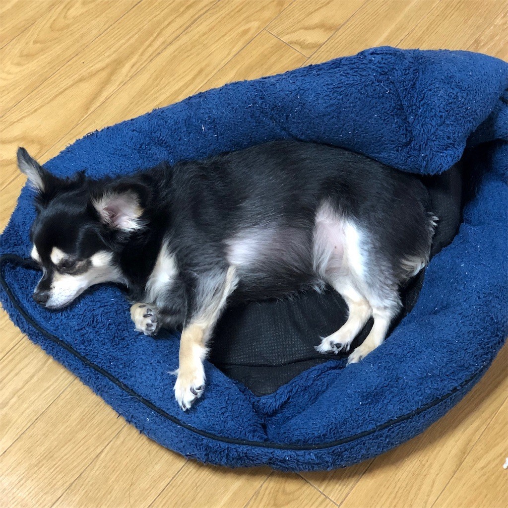 f:id:akie1000:20190918095703j:image