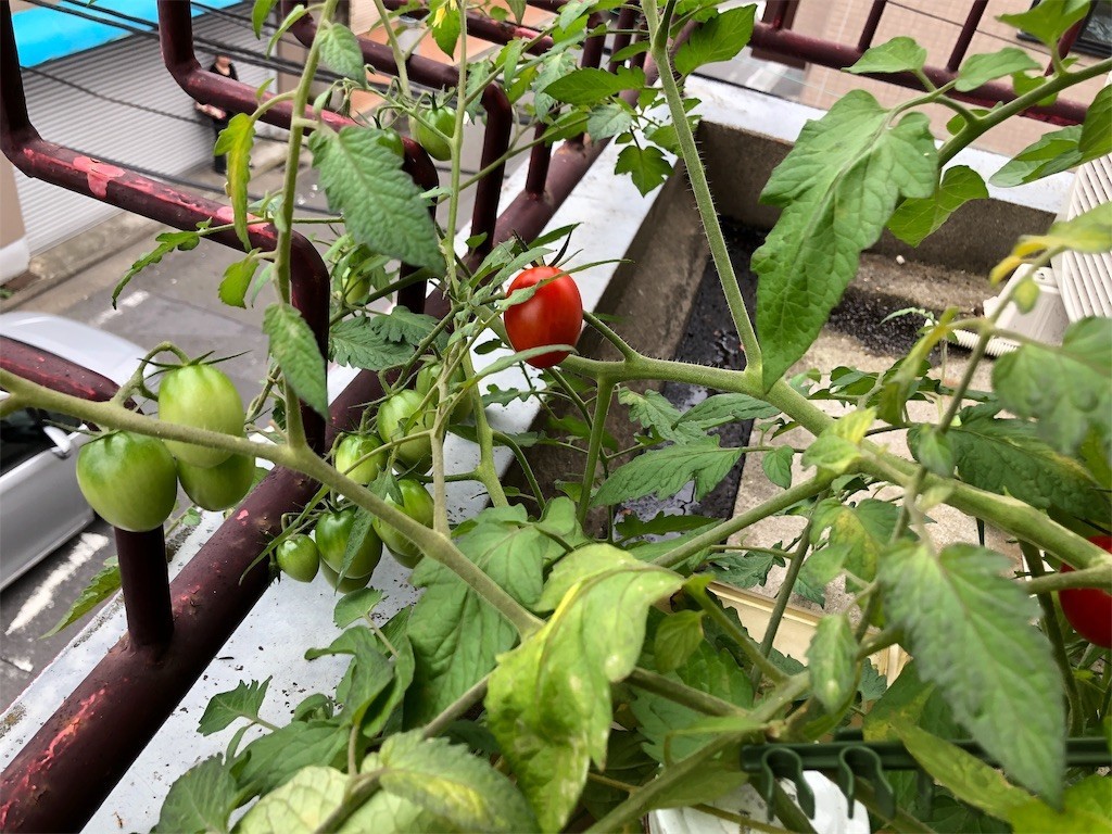 f:id:akie1000:20190918104702j:image